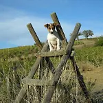 Lo Scalandrino 3* 그레세토