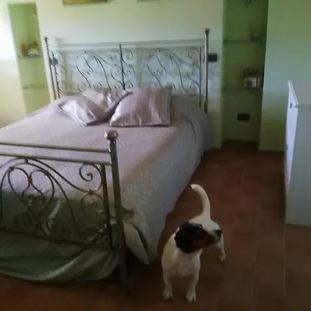 Lo Scalandrino 4*
